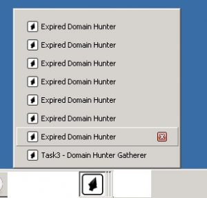 Domain Hunter Gatherer Multiple Run